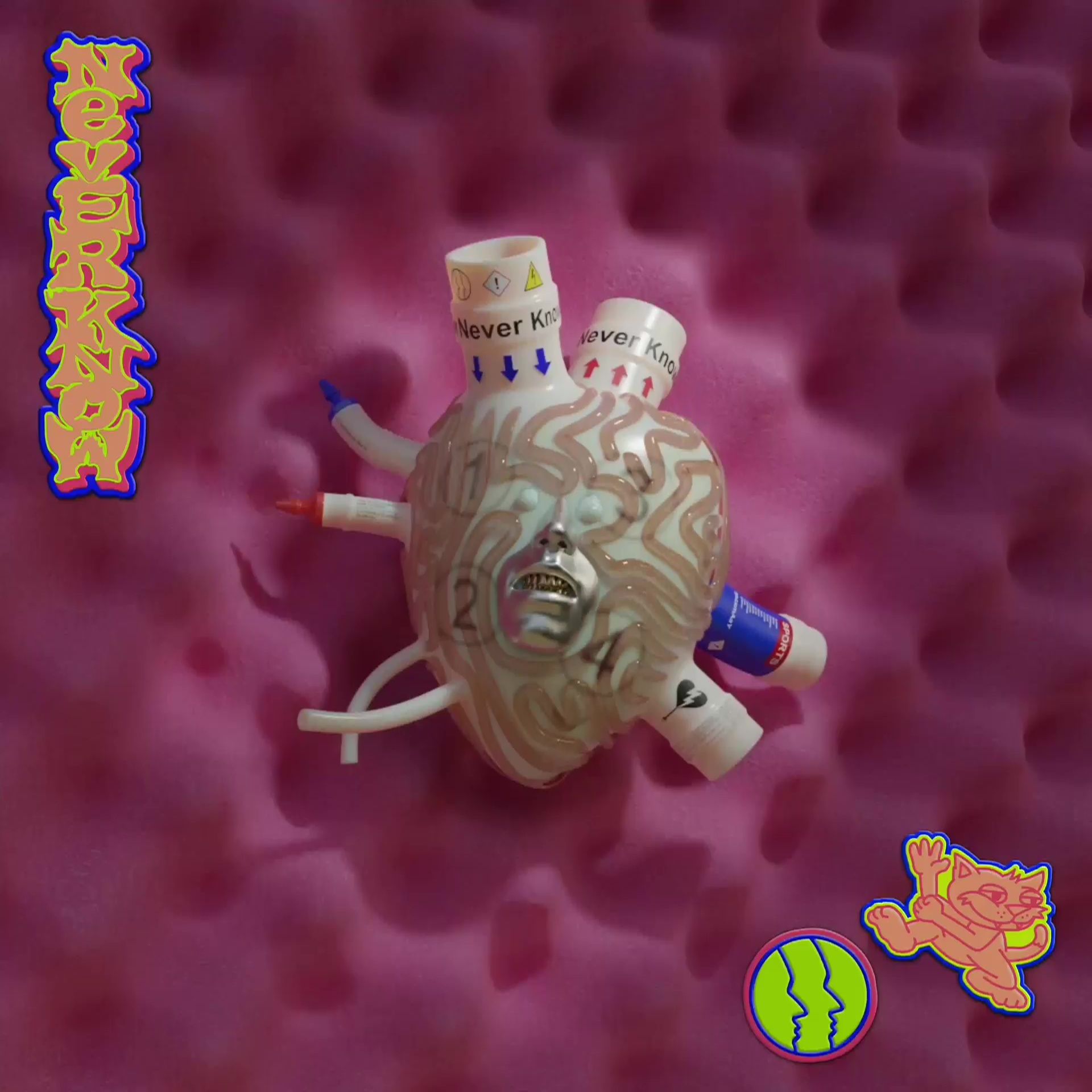 Never Know promo video featuring a heart sculpture on a foam egg crate for the Sports Get A Good Look Album Campaign