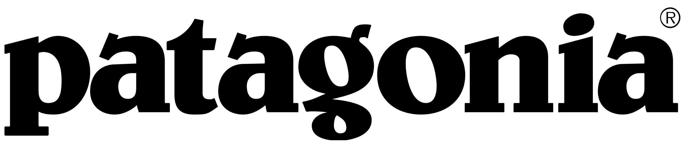 Patagonia Clothing Company